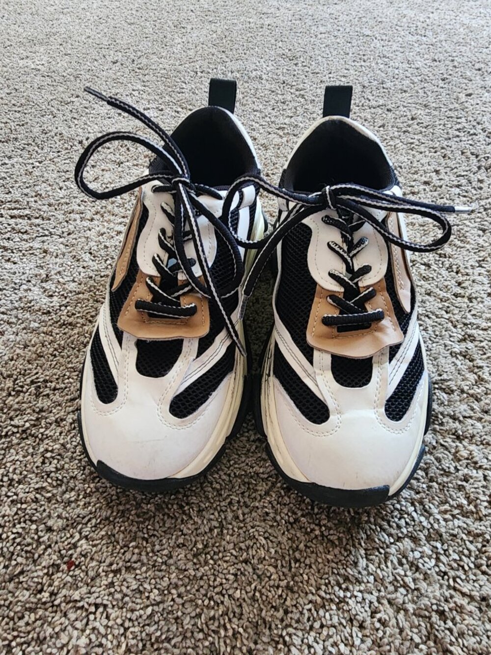 Steve Madden Sneakers